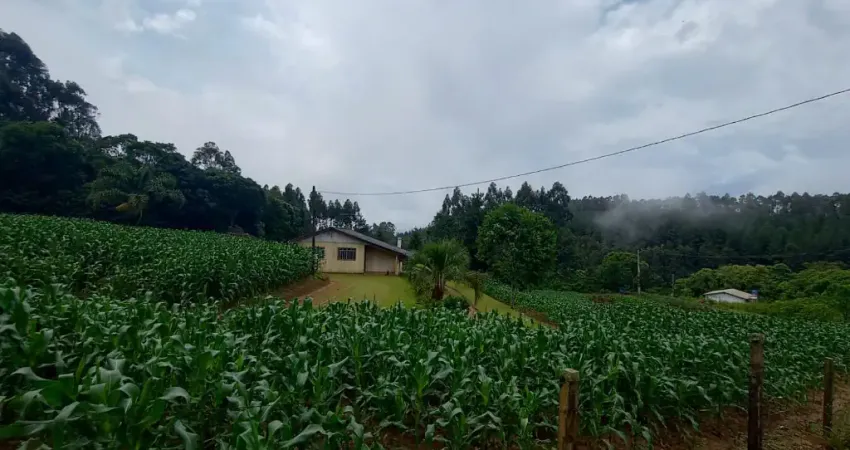 Chácara / sítio com 2 quartos à venda na Areia Branca dos Assis, Mandirituba 