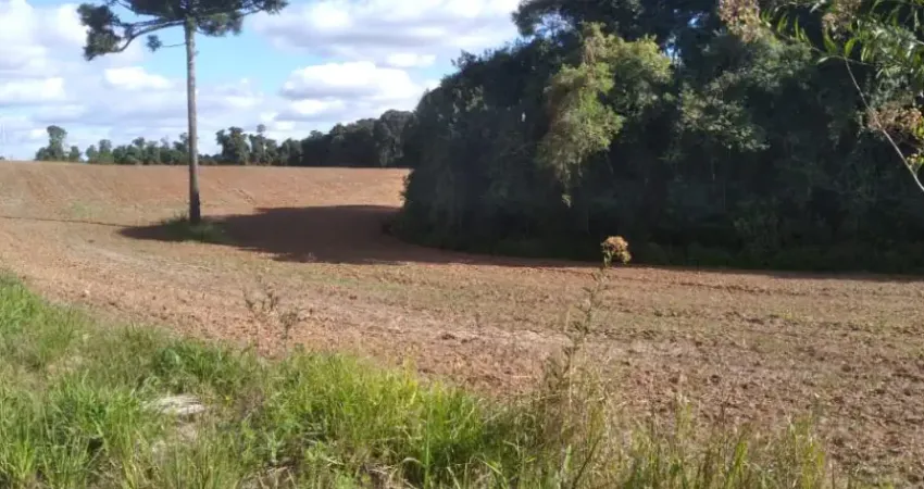 Chácara / sítio à venda na Estrada de Tietê, Tietê, Araucária