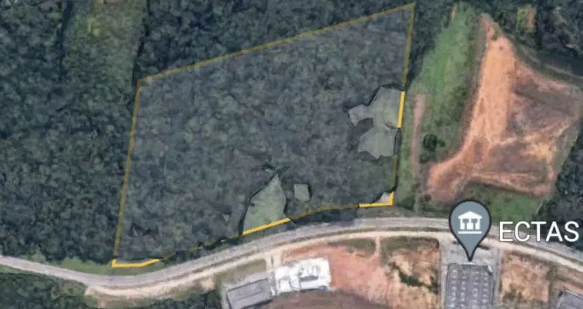 Terreno comercial à venda na Zona Industrial, Joinville 