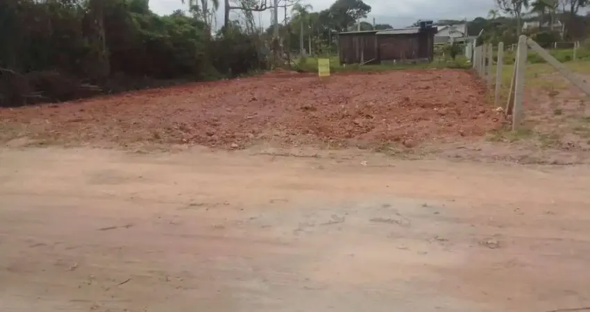 Terreno à venda na Praia do Ervino, São Francisco do Sul 