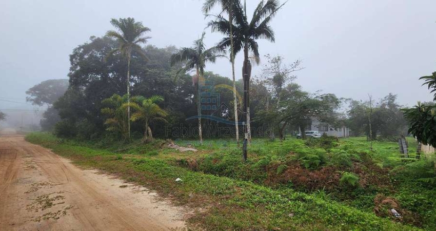 Terreno à venda na Praia do Ervino, São Francisco do Sul 