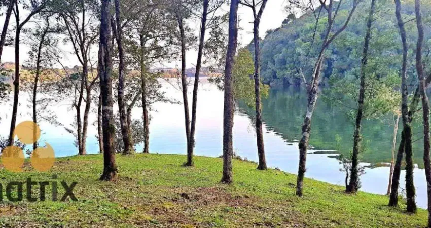 Área à venda, 22000 m² por R$ 1.650.000,00 - Butiatuva - Campo Largo/PR