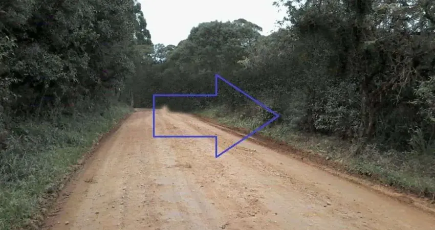 Área à venda, 48400 m² por R$ 1.100.000,00 - Área Rural de São José dos Pinhais - São José dos Pinhais/PR
