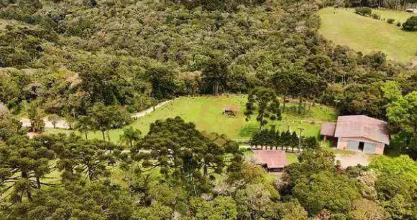 Oportunidade única! Haras completo com 316.000 m² por R$ 7.000.000 - Centro - Piraquara/PR