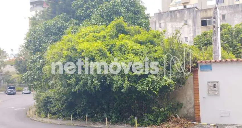 Terreno à venda na Rua Plínio Moscoso, Jardim Apipema, Salvador