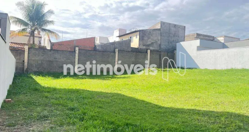 Terreno à venda na Avenida Lírio Correa, Parque Nova Carioba, Americana