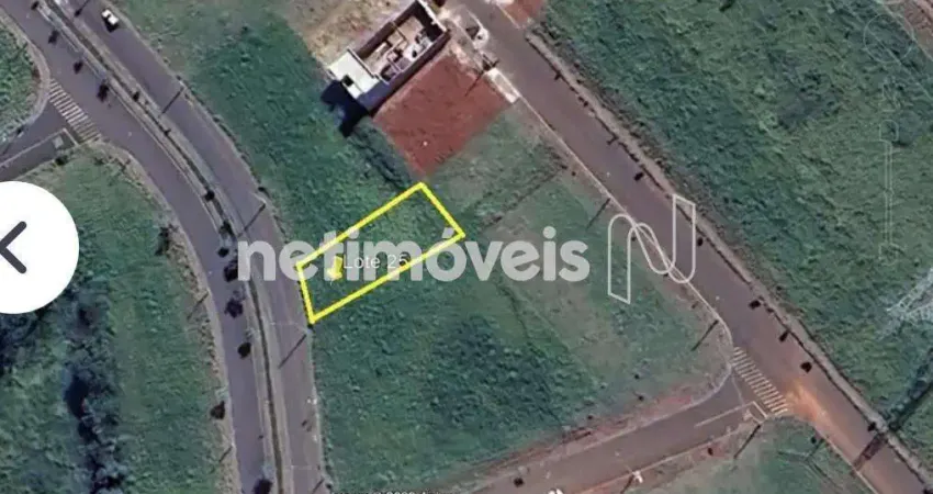 Venda Avenida Jardim Alphacenter Santa Bárbara DOeste