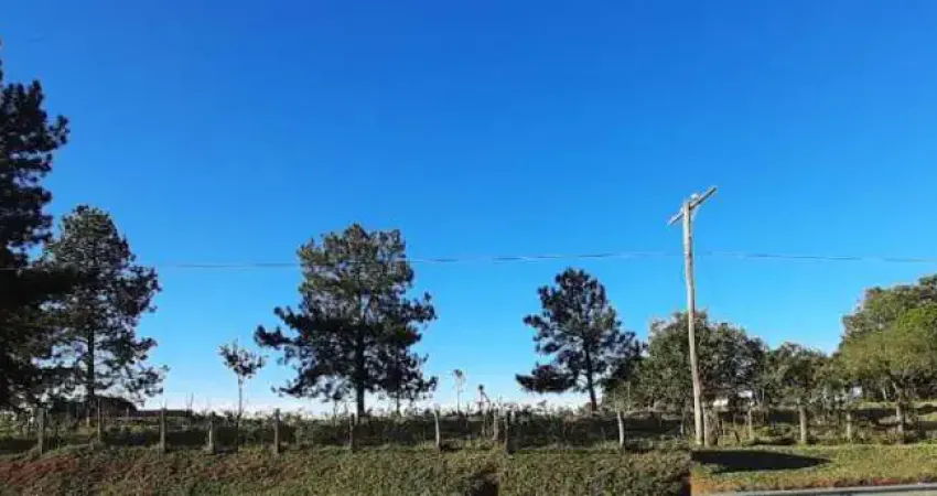 Vendo area frente para Raposo Tavares Itapetininga SP