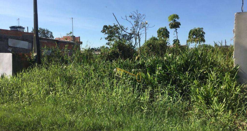 Terreno à venda, 286 m² por R$ 70.000,00 - Balneário Gaivota - Itanhaém/SP