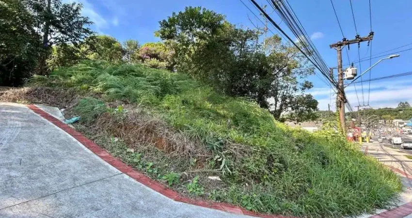 TERRENO no FLORESTA com 0 quartos para VENDA, 2125 m²