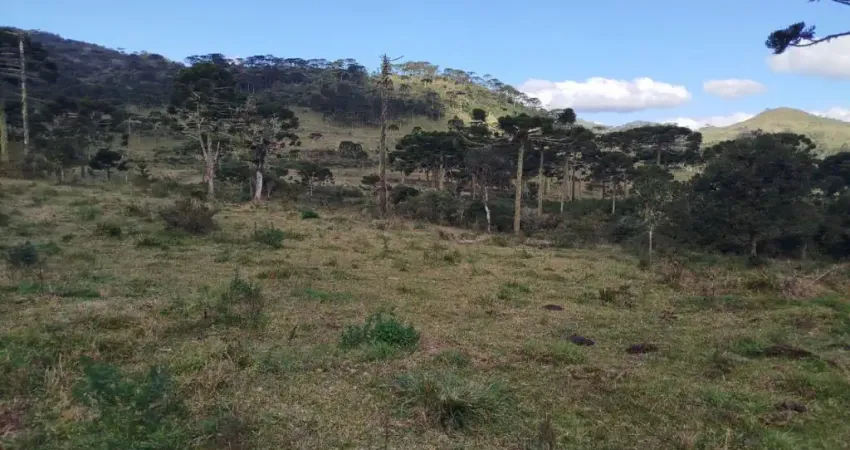 Chácara / sítio à venda na Rodovia SC 439, Zona Rural, Urubici