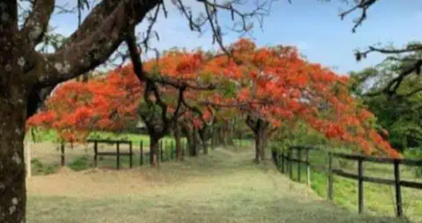 Lançamento mais esperado do ano acaba de chegar - condomínio fechado villa sapezal - indaiatuba