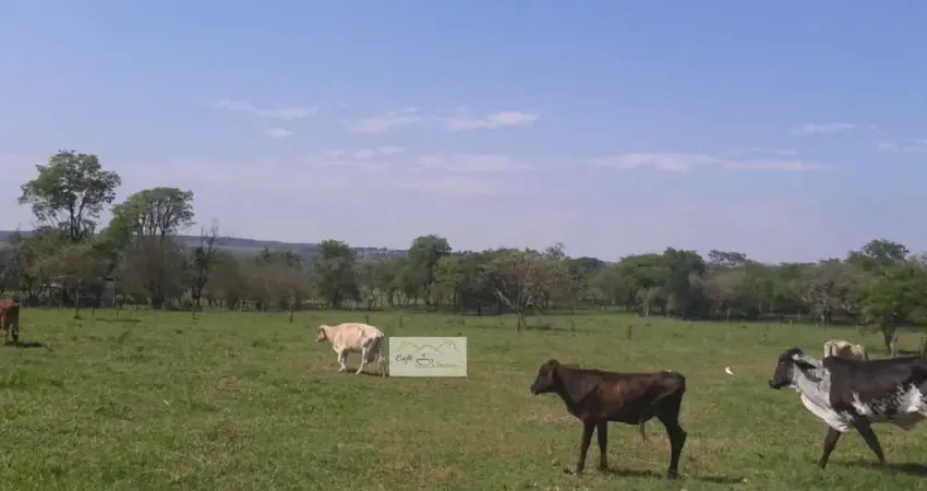 Chácara / sítio com 3 quartos à venda em Água Vermelha, São Carlos 
