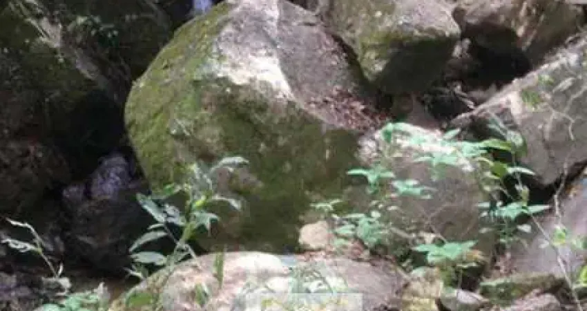 Chácara / sítio à venda no Centro, Cambuí