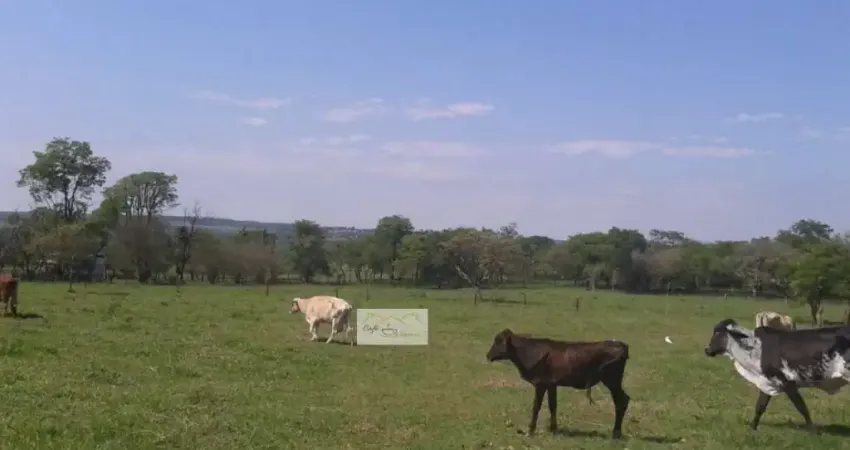 Fazenda à venda em Água Vermelha, São Carlos
