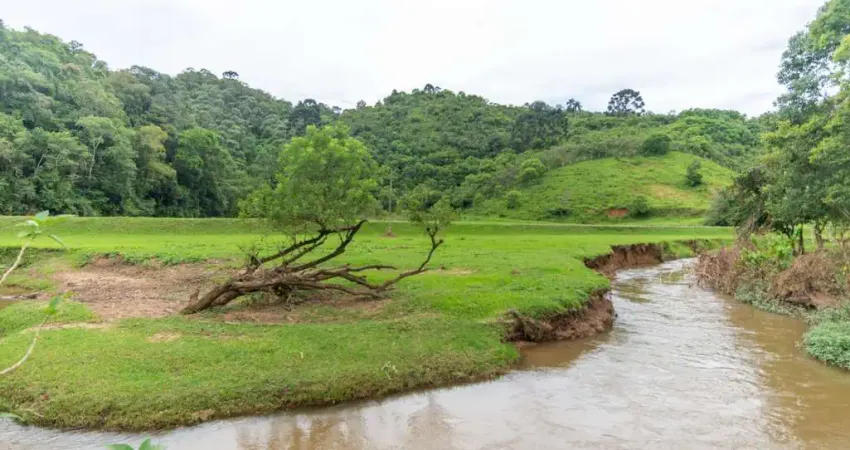 Chácara / sítio com 4 quartos à venda na Conceicao dos Correias, 4044, Centro, Campo Magro