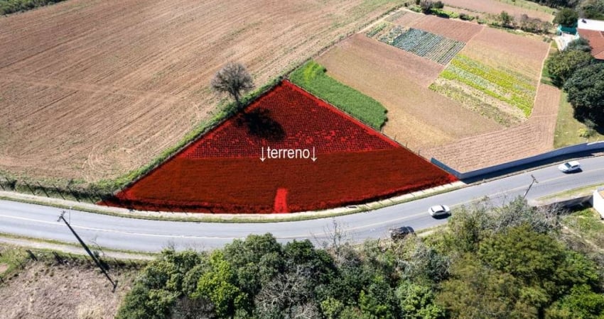 Terreno à venda na Rua José de Paiva Vidal, 2227, Vila Santa Terezinha, Campo Largo