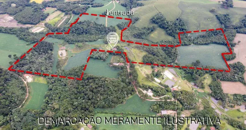 Chácara / sítio à venda na Antonio Gomes de Lima, 1, Formigueiro, Araucária