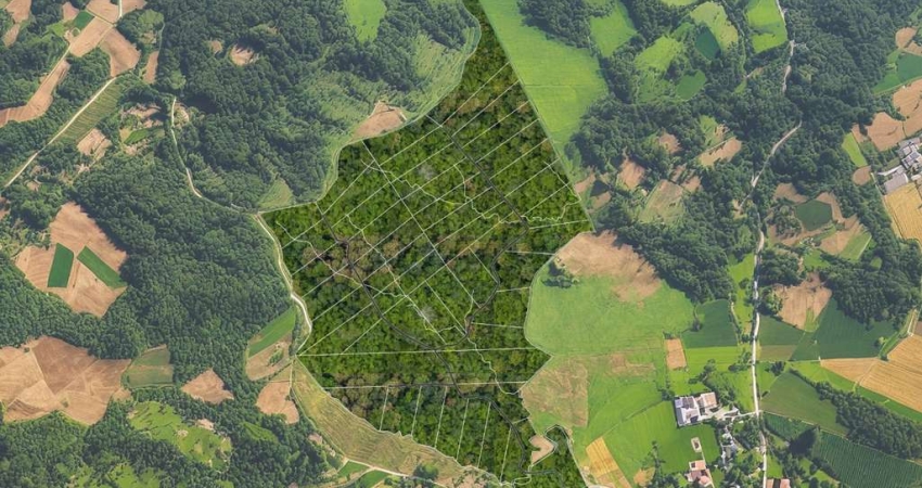 Terreno à venda na do Felpudo, 685, Guabiroba, Campo Largo