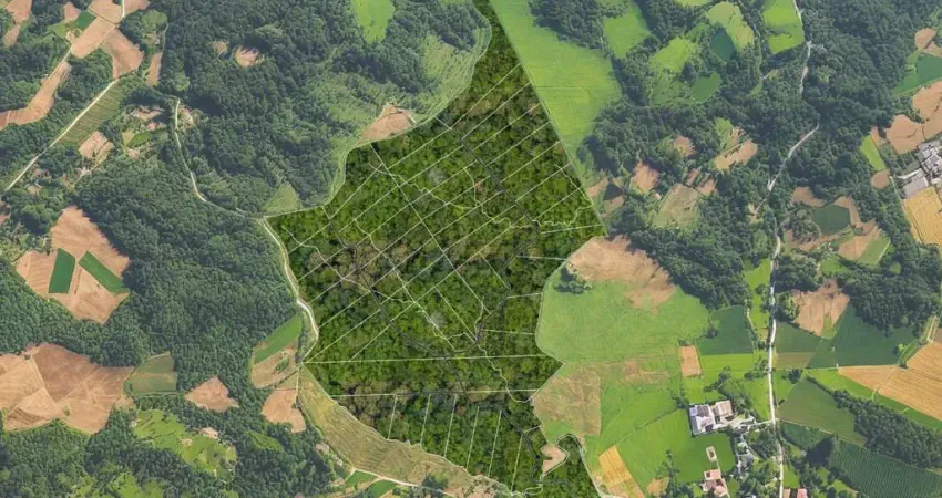 Terreno à venda na do Felpudo, 685, Guabiroba, Campo Largo