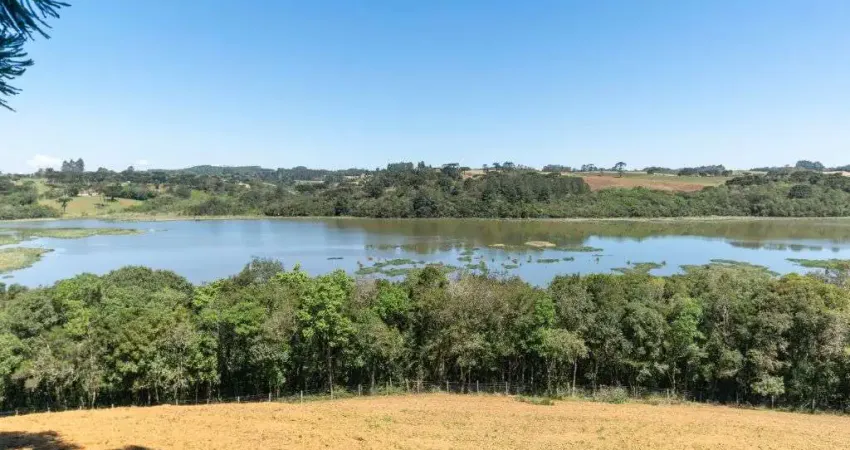 Chácara / sítio à venda na Alameda Bouganville, 1010, Colônia Mariana, Campo Largo