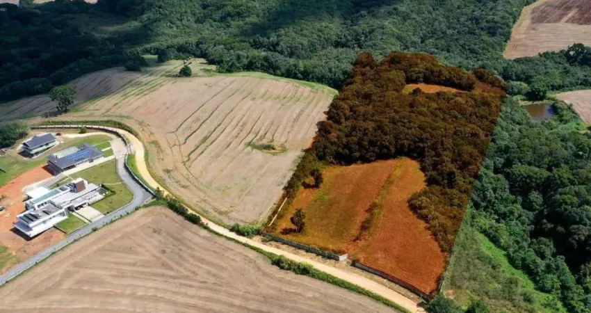 Chácara / sítio à venda na Rua Maria Luiza Tortato Andreassa, 1, Colônia Figueiredo, Campo Largo