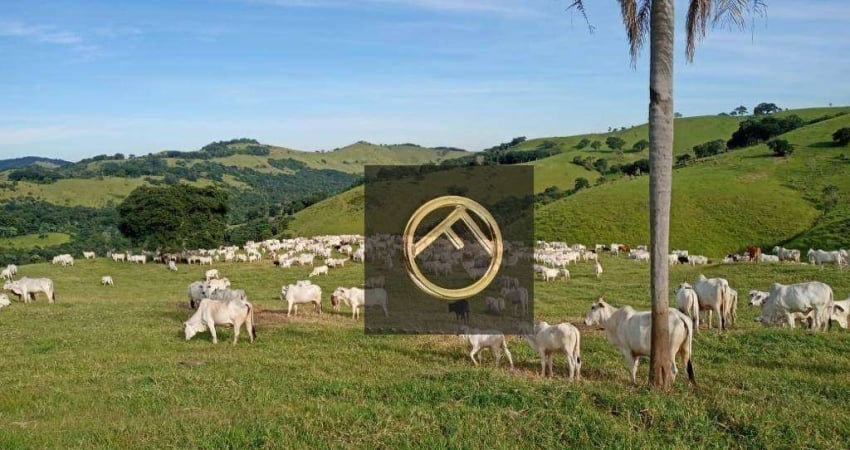Fazenda à venda, 2928200 m² - Guampará - Marquinho/PR
