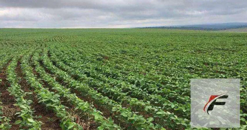 Área à venda, 1234200 m² - Miringuava - São José dos Pinhais/PR