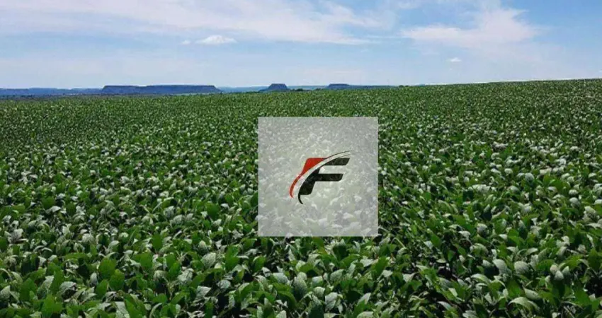 Fazenda à venda, 399300 m² por R$ 3.700.000,00 - Lapa - Mariental/PR