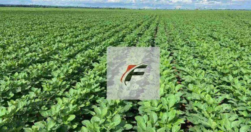 Fazenda com 2 dormitórios à venda, 1185800 m² por R$ 14.900.000,00 - Zona Rural - Lapa/PR