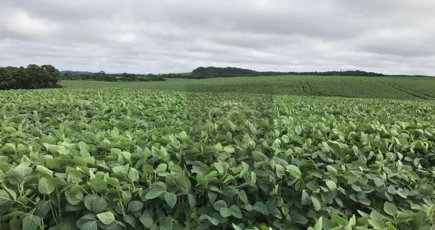 Fazenda à venda na Área Rural, 1, Zona Rural, Candói