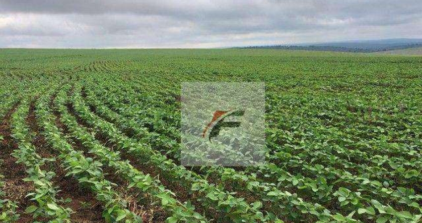Fazenda à venda, 5783800 m² - Centro - Nova Aurora/PR