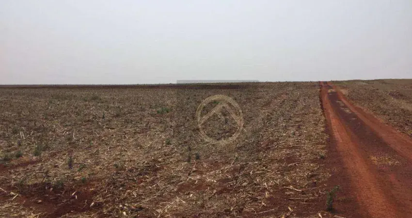 Fazenda à venda, 9825200 m² por R$ 49.000.000,00 - Centro - Tamarana/PR
