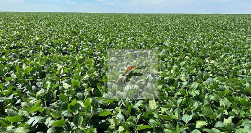 Fazenda com 3 dormitórios à venda, 1355200 m² por R$ 15.000.000,00 - Centro - Lapa/PR