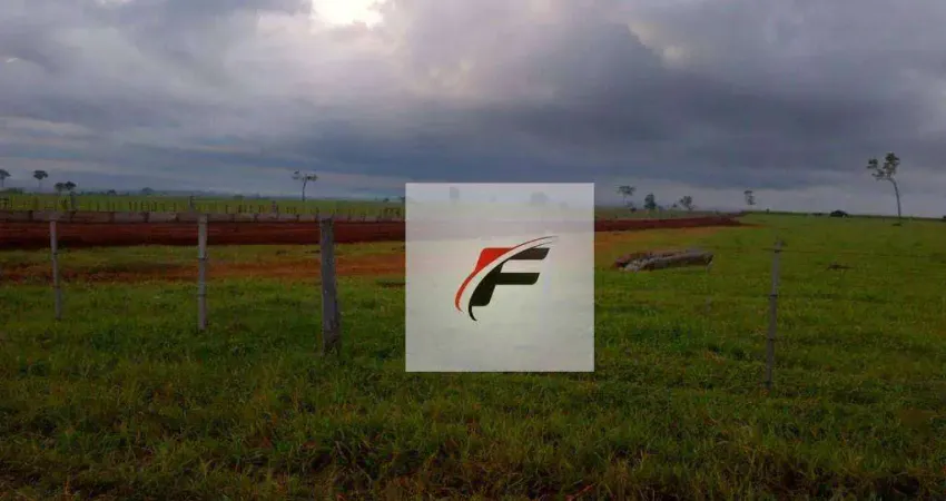 Fazenda à venda, 49000000 m² por R$ 209.000.000,00 - Centro - Paranavaí/PR