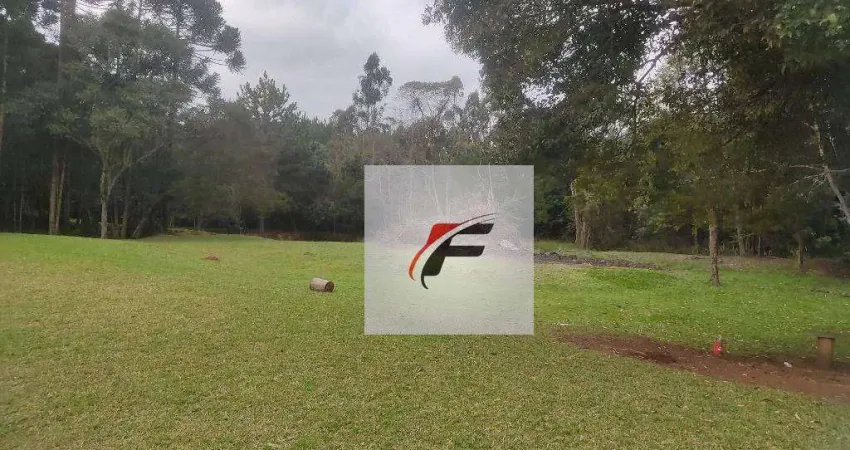 Terreno à venda, 15000 m² por R$ 5.800.000,00 - Umbará - Curitiba/PR