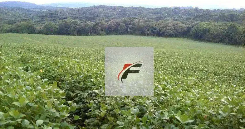 Chácara com 3 dormitórios à venda, 242000 m² por R$ 1.200.000,00 - Centro - Lapa/PR