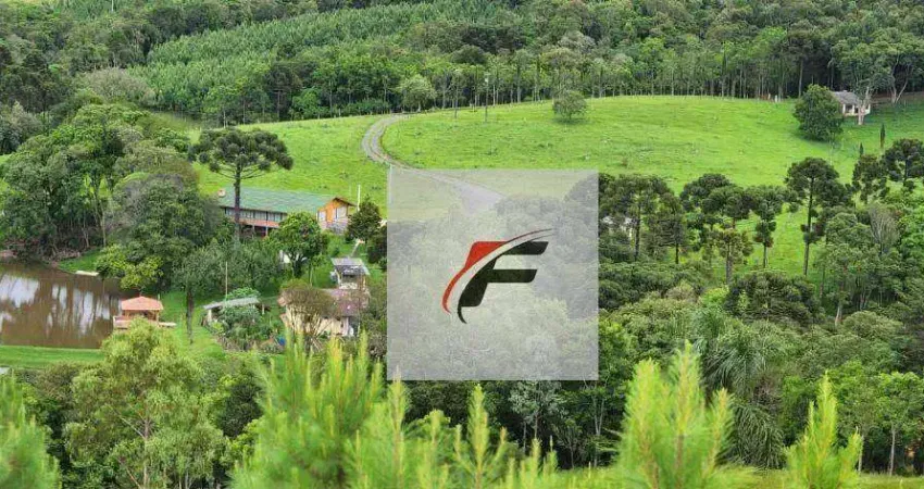 Chácara com 3 dormitórios à venda, 305000 m² por R$ 3.700.000,00 - Zona Rural - Tijucas do Sul/PR