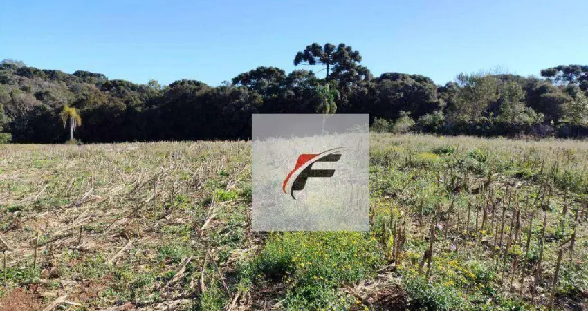 Terreno ESTRADA DO GANCHINHOà venda, 15524 m² por R$ 5.433.400 - Ganchinho - Curitiba/PR