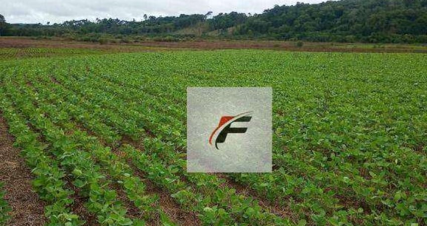 Fazenda à venda, 726000 m² por R$ 3.727.000,00 - Jardim Vitória - Turvo/PR