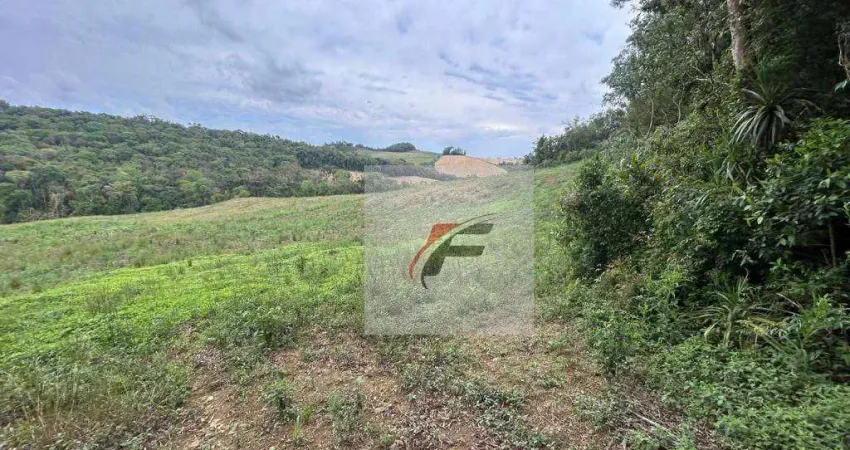 Chácara com 1 dormitório à venda, 108900 m² por r$ 480.000,00 - centro - lapa/pr