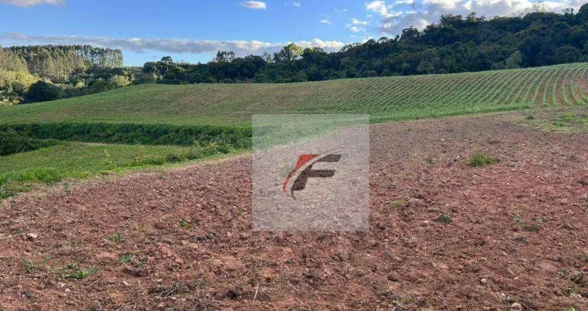 Chácara com 2 dormitórios à venda, 290400 m² por r$ 1.500.000 - centro - contenda/pr