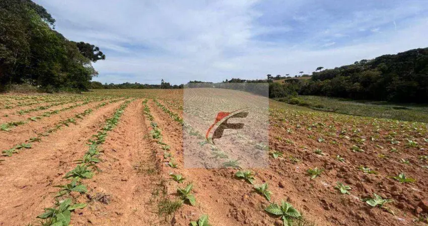 Chácara com 3 dormitórios à venda, 1113200000 m² por r$ 600.000 - centro - quitandinha/pr