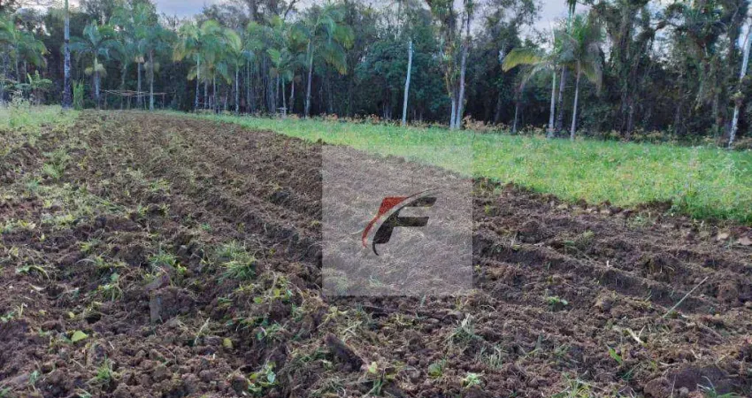 Fazenda com 2 dormitórios à venda, 1137400 m² por r$ 790.000 - zona rural - antonina/pr