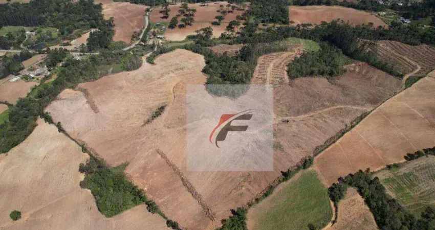 Fazenda à venda, 1016400 m² por R$ 6.500.000 - Rural - São João do Triunfo/Paraná