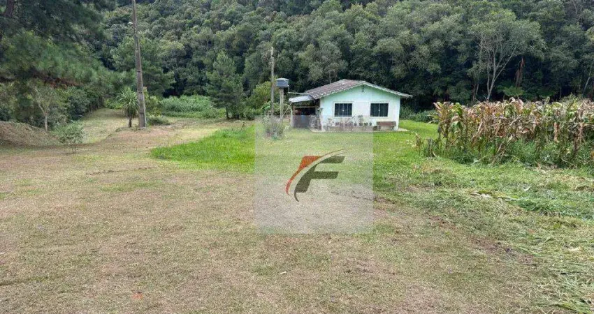 Chácara com 3 dormitórios à venda, 5700 m² por R$ 280.000 - Centro - Mandirituba/PR