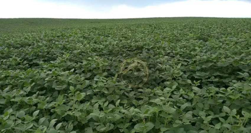 Fazenda à venda na Rua José Roberto, 2, Centro, Candói