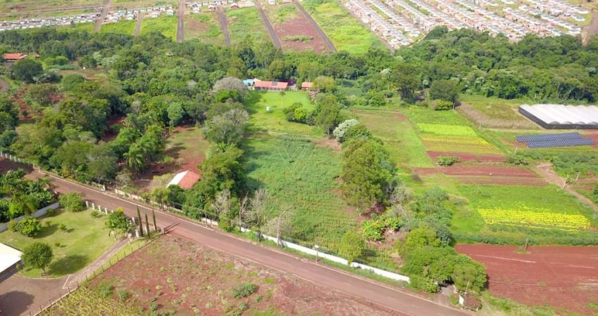 Chácara Paraíso para Venda, 24,200 m², Apucarana, PR