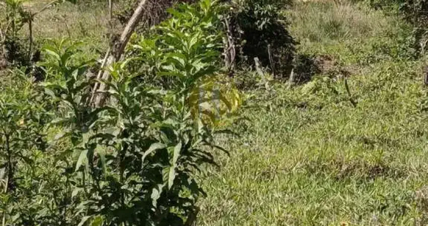 Terreno de 294,50m² no balneário dos golfinhos em caraguatatuba - sp