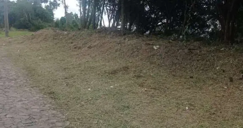 Terreno à venda na Rua Alberto Adolpho Fruchtenicht, Campestre, São Leopoldo